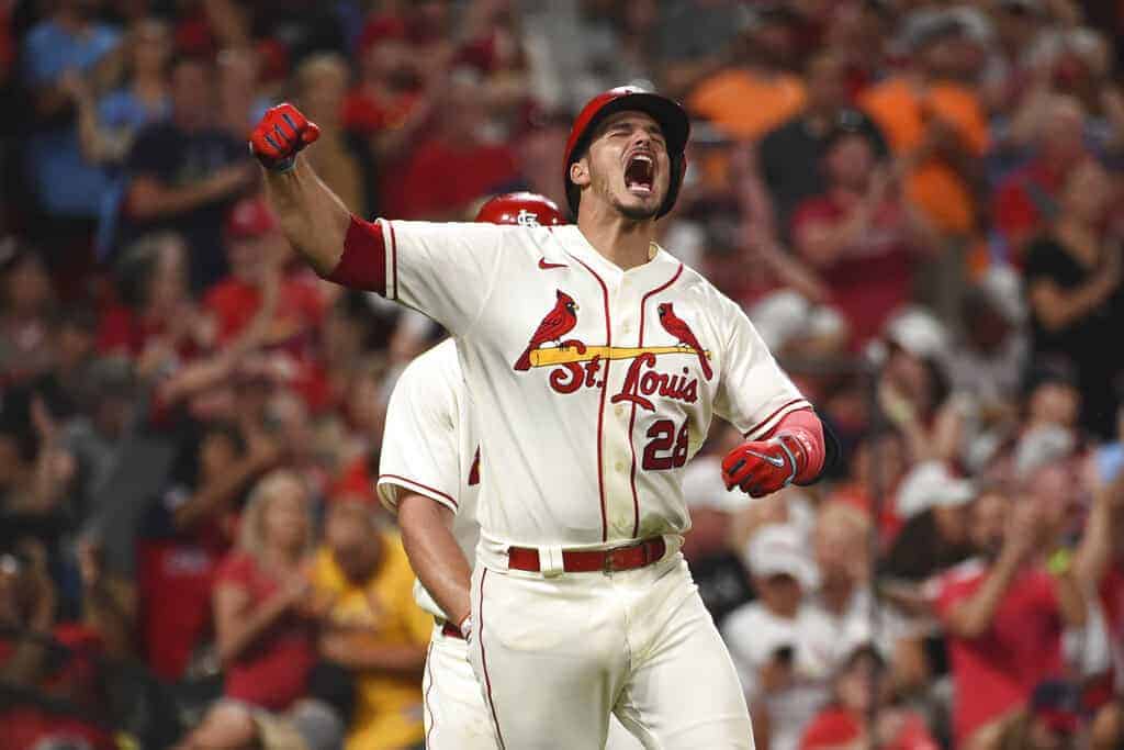 MLB Rookie Profile: Sandy Alcantara, RHP, St. Louis Cardinals - Minor  League Ball